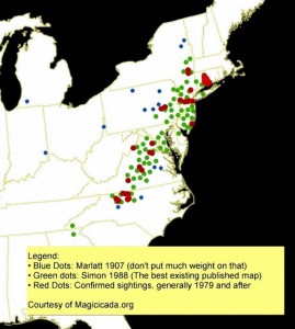 Confirmed Cicada Sightings