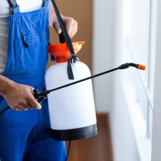 Professional Pest Control Services vs Pestie