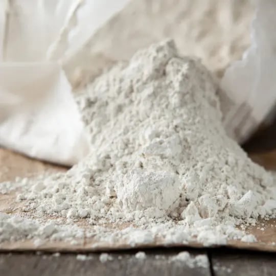 Diatomaceous earth