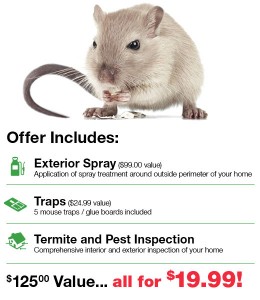 Fall Pest Control Offer