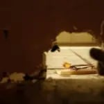 Rat hole