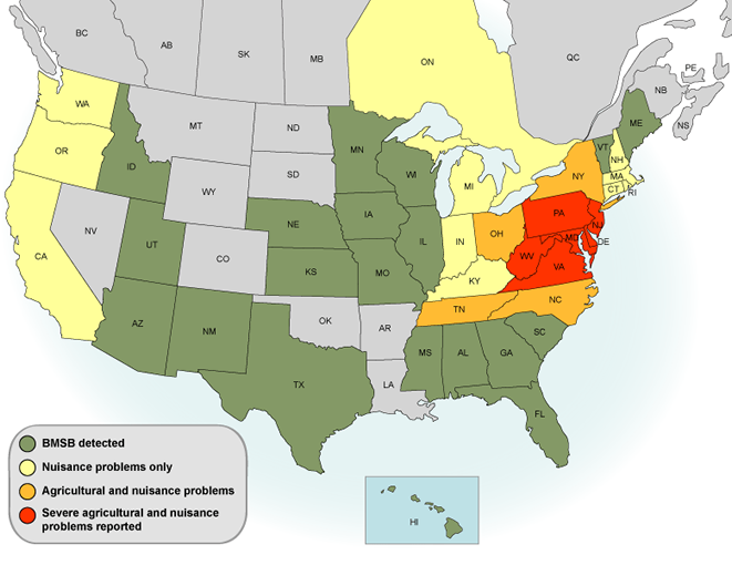This map locates states with the following information: BMSB detections, Nuisance problems only, Agricultural and nuisance problems, Sever agricultural and nuisance problems.