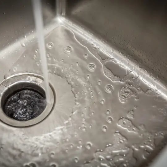 Are ants drawn to a kitchen sink?