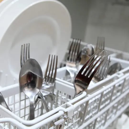 ants-in-dishwasher
