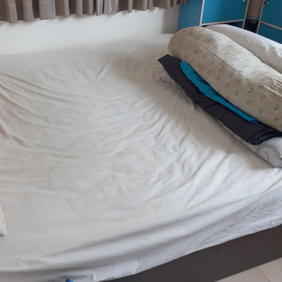 how to check for bed bugs on a sheet