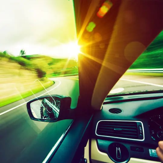 bugs-in-your-car