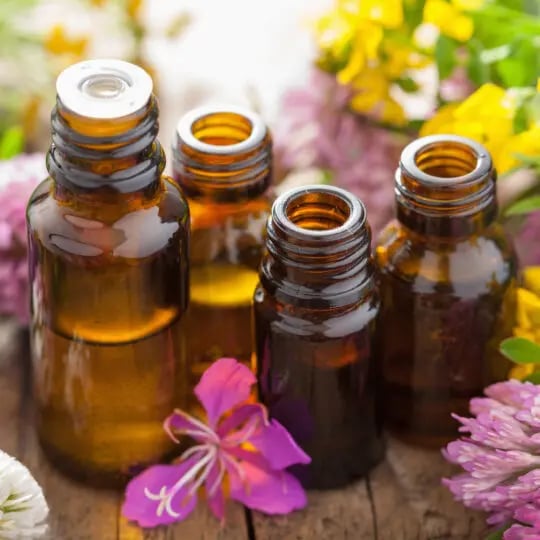 Does lavender oil get rid of bed bugs?