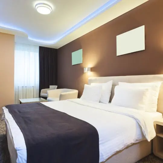 How hotels prevent bed bugs