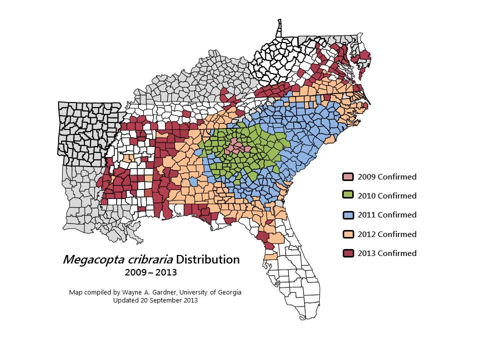 Kudzu Bug Distribution Map Source: Developed by The University of Georgia - Center for Invasive Species and Ecosystem Health