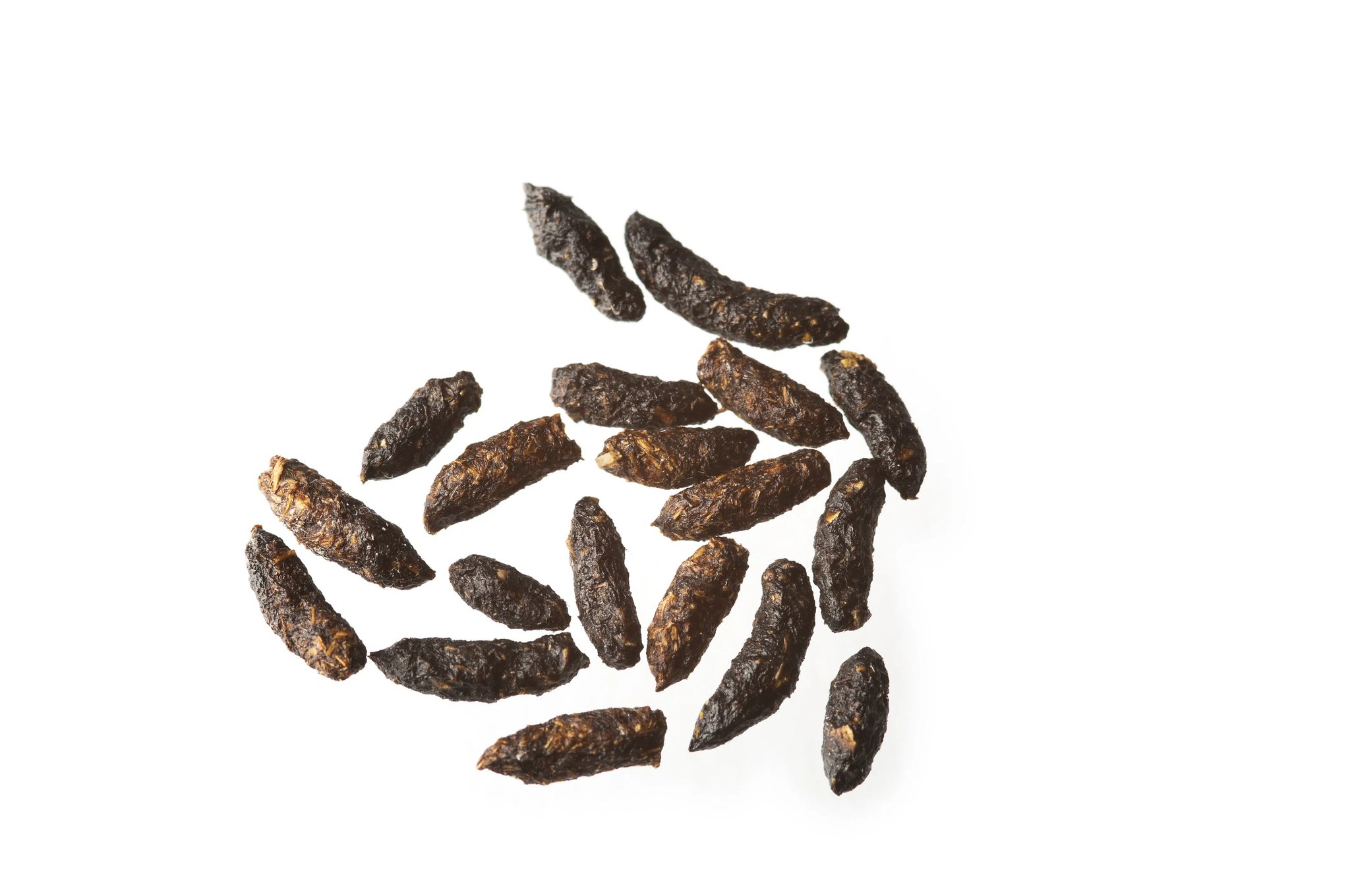 Mouse Poop
