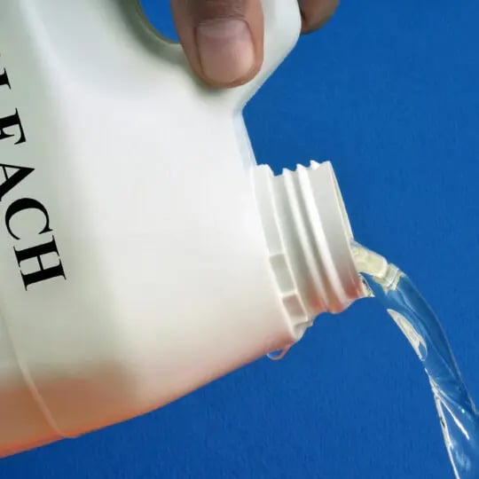 Does Clorox Kill Bed Bugs?