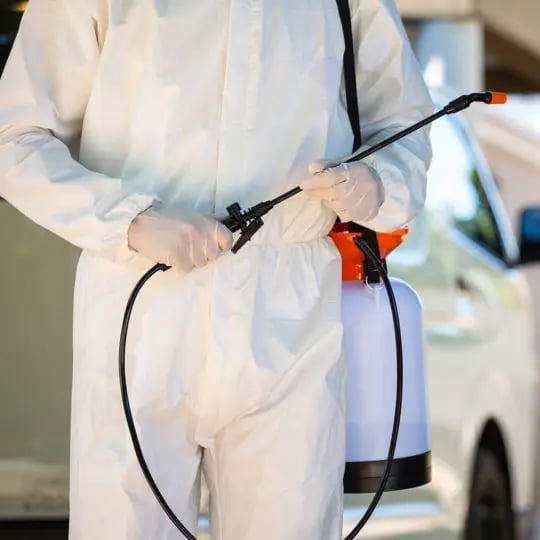 professional-pest-control