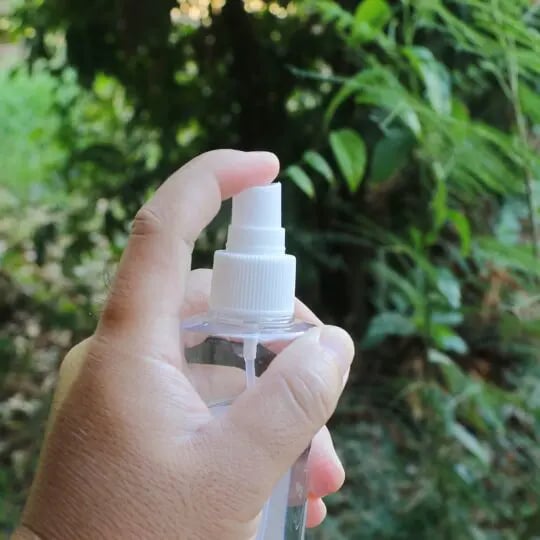 Make Your Own Ant Spray