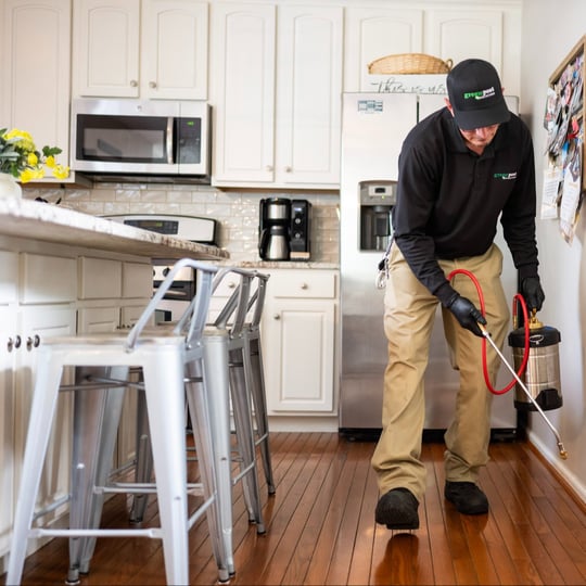 pest tech in chester county, pa