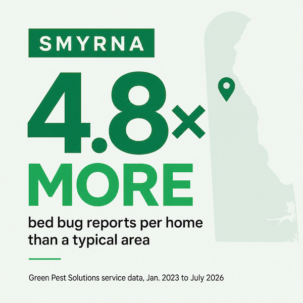 bed bug hot spots in delaware