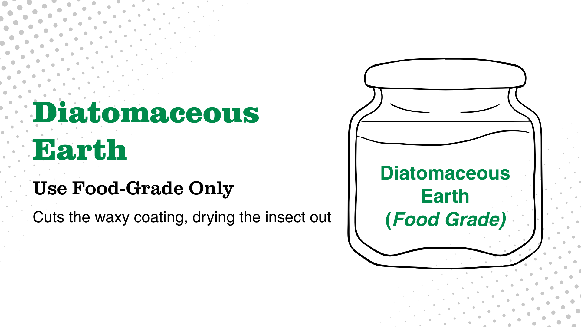 diatomaceous earth