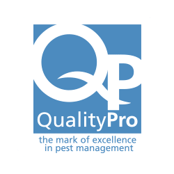 quality pro logo
