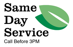 same day pest control service