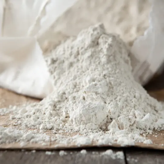 How to use Diatomaceous Earth as an Insecticide