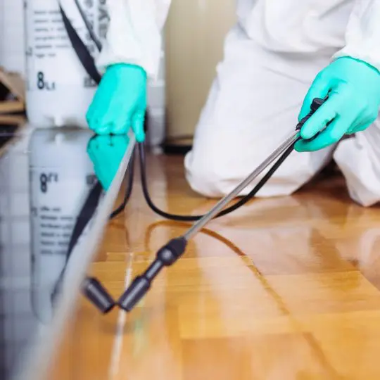 How Much Terminix Costs Green Pest Solutions