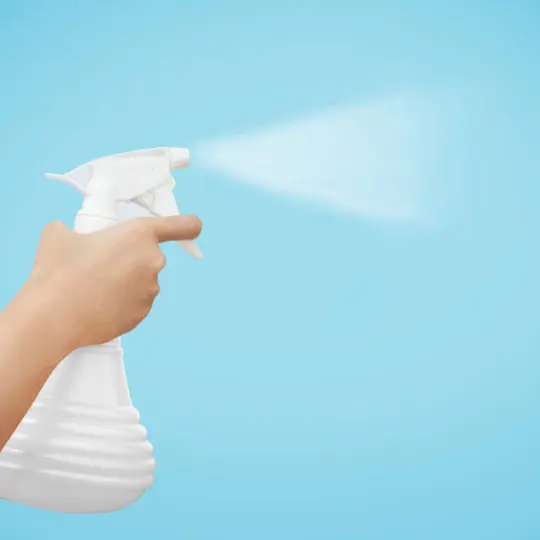 Does Vinegar Kill Spiders? Green Pest Solutions