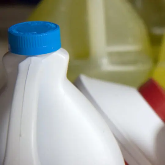 Does Bleach Kill Spiders? Green Pest Solutions