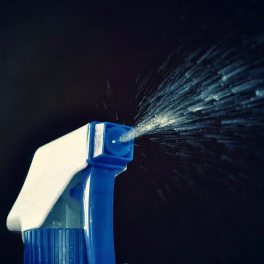 Does windex kill pests green pest solutions
